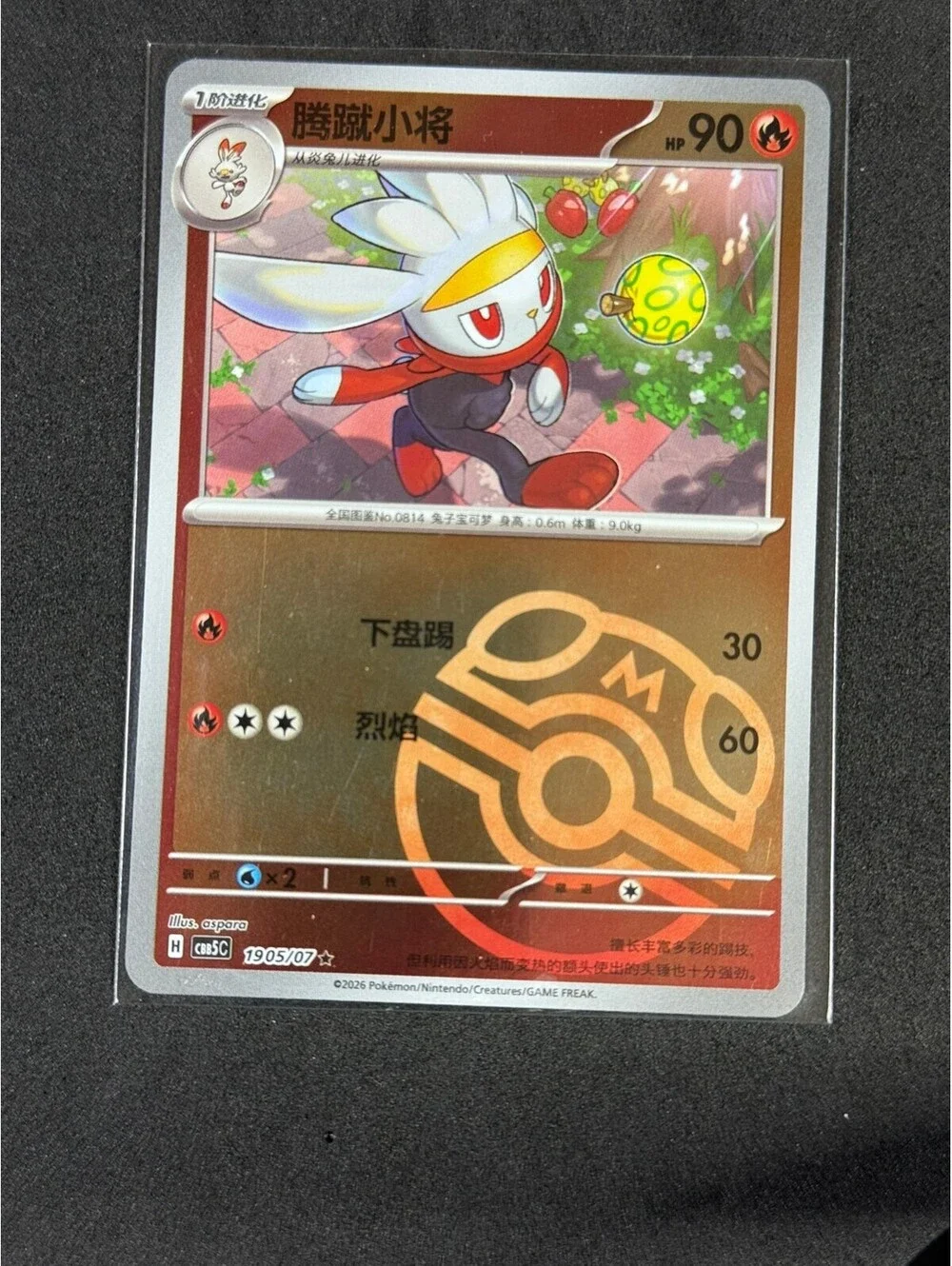 Pokémon Chinese Raboot MasterBall reverse holo 1905/203